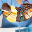 Un profesional de la salud usando guantes apunta a un modelo a detalle del hígado, ilustrando su estructura interna.